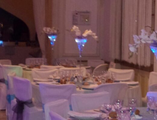 Ô des lys des fleurs