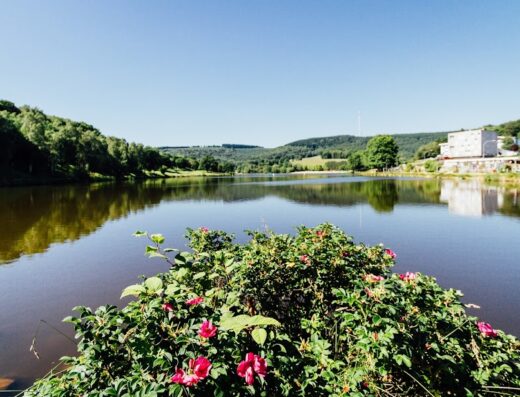 Office de Tourisme du Grand Guéret